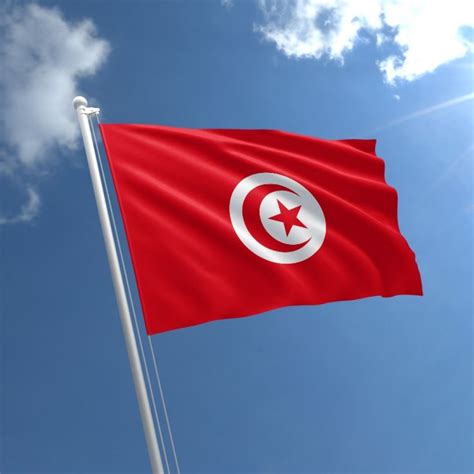 Tunisian Flag, National Flags Vivid Indoor Outdoor, Republic of Tunisia ...