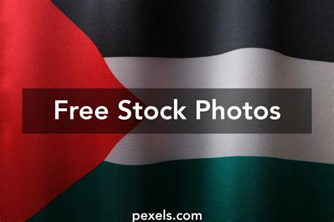 Palestine Liberation Organization Flag Photos, Download The BEST Free ...