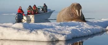 Main Characterisitics - Akimiski Island National Park