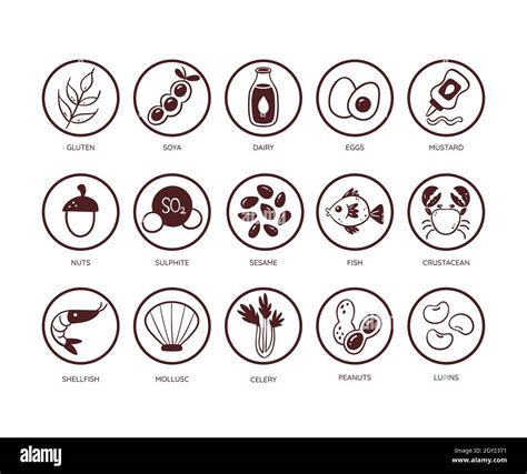 Food allergen icon set. Icons of the main ingredients that must be ...