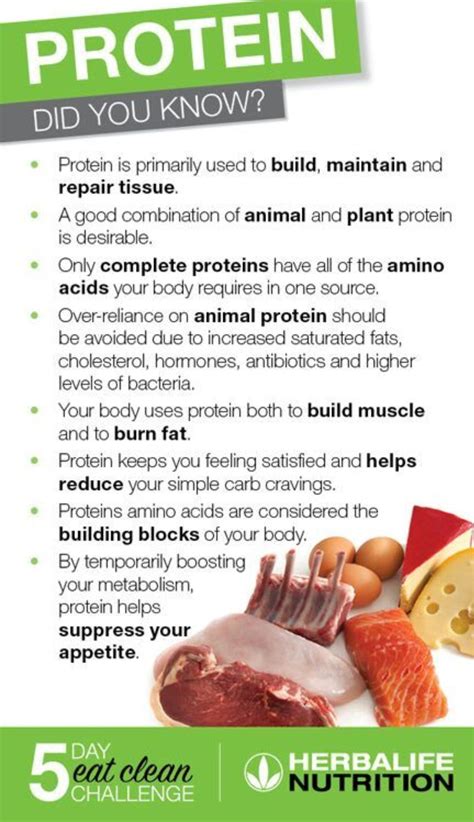 Power of Protein 2 | Herbalife shake recipes, Herbalife recipes, Herbalife nutrition facts