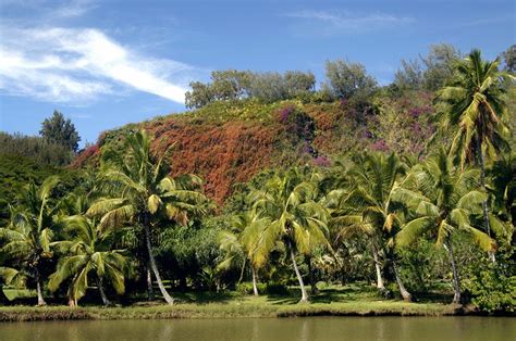 Allerton Garden, Kauai | To-Hawaii.com