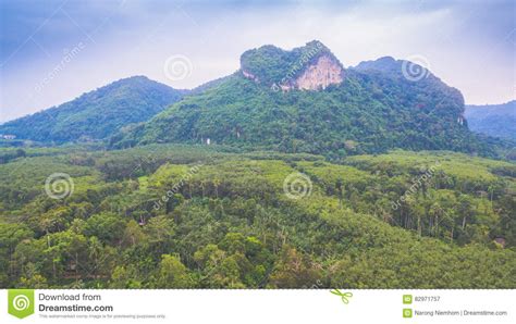 The heart mountain stock image. Image of garden, bridge - 82971757