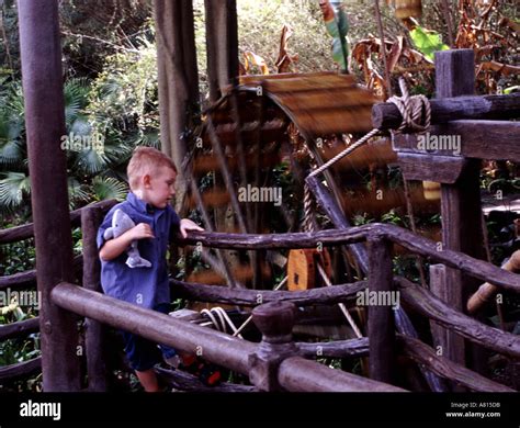 Swiss family robinson treehouse hi-res stock photography and images - Alamy