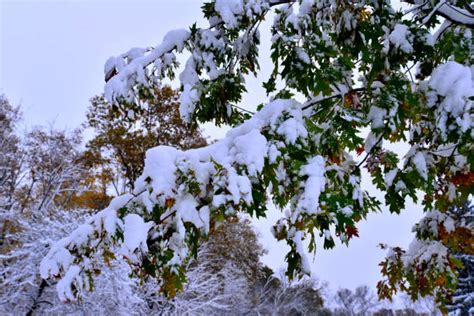 Kenosha Weather Stock Photos, Pictures & Royalty-Free Images - iStock