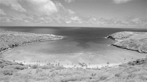 Discover Hanauma Bay: A Must-Visit Paradise in Hawaii - Real Hawaii Tours