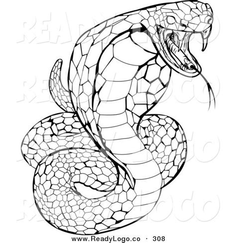 Viper Snake Coloring Page Sketch Coloring Page | Snake coloring pages ...