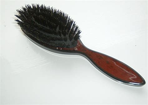 ファイル:Hairbrush flat.JPG - Wikipedia