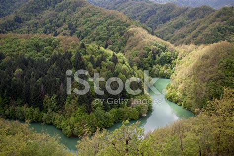 River In The Woods Stock Photo | Royalty-Free | FreeImages