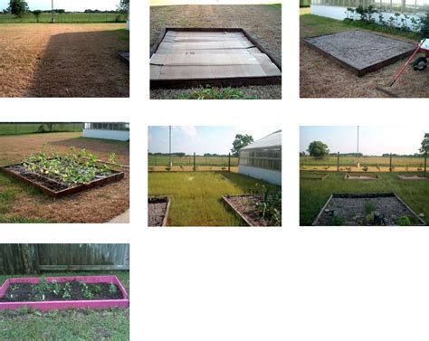 Using Raised Beds to Increase Your Harvest – ATTRA – Sustainable Agriculture