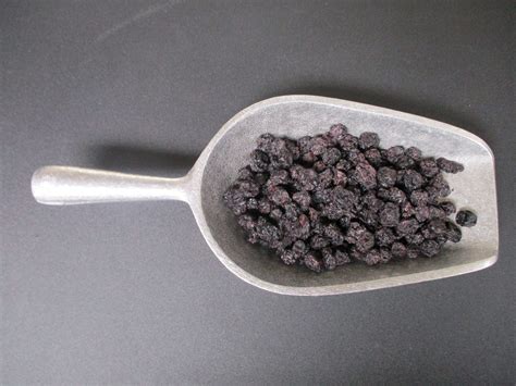 Buy 1513 – BLUEBERRIES, DRIED on Rock Run Bulk Foods