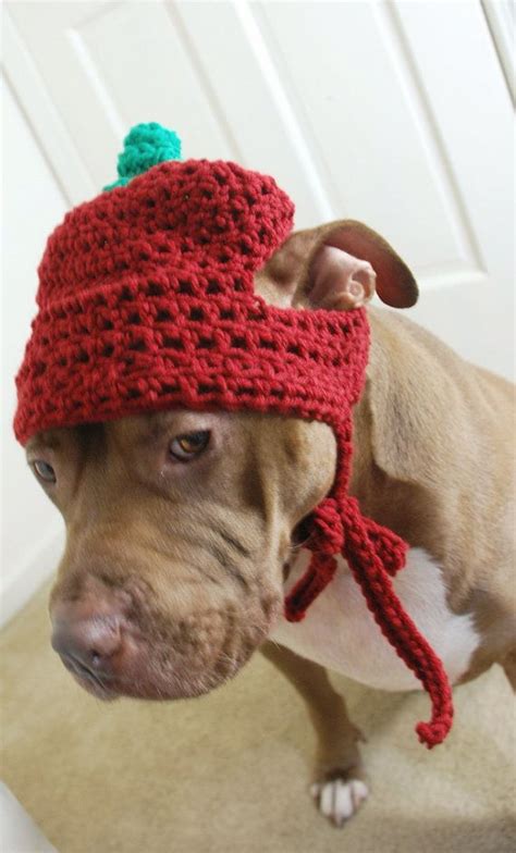 Crochet Dog Hat Pattern Free - Crochet Dog Hat Free Crochet Pattern ...