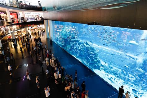 Aquarium at Dubai Mall | Aquarium at Dubai Mall | Flickr