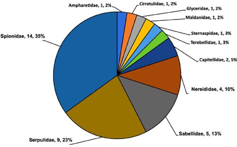 Total number of alien marine polychaetes species, by family, for which... | Download Scientific ...