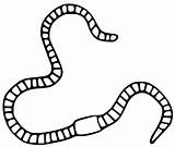 Printable Earthworm Coloring Page  Free Pages For Kids sketch template