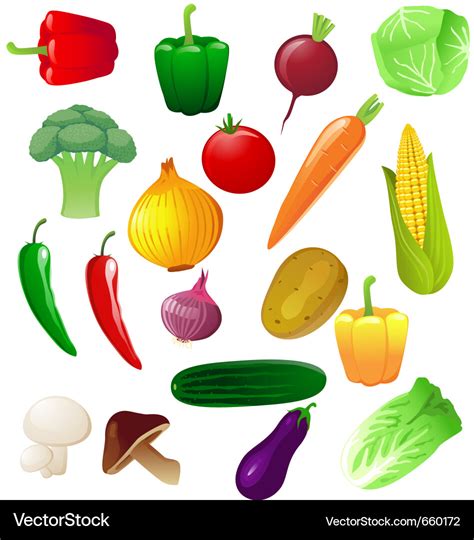 Vegetable Royalty Free Vector Image - VectorStock