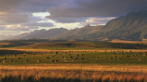 Visita Swellendam: El mejor viaje a Swellendam, Cabo Occidental, del ...