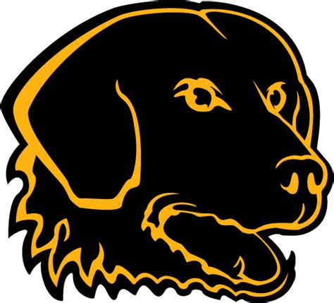 Old School UMBC Logo | Mascot, Chesapeake bay retriever, Team logo