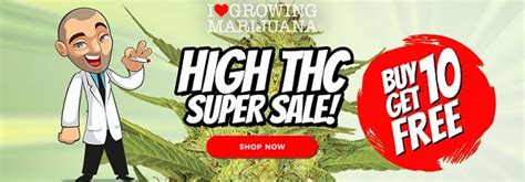 High THC Super Sale | USA Cannabis Seeds