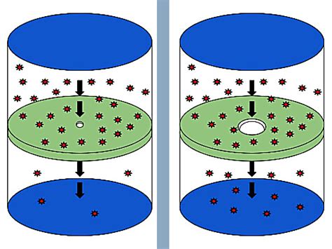 What Is The Difference Between Diffusion and Effusion?