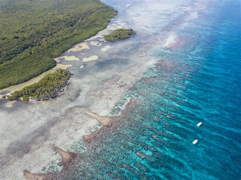 An Aerial View Of A Beautiful Coral Photograph by Ethan Daniels - Fine Art America