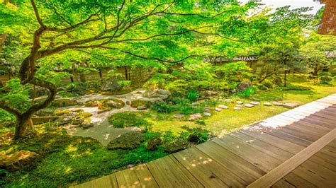 Mastering the art of Japanese garden design - Westbury Windows and Joinery