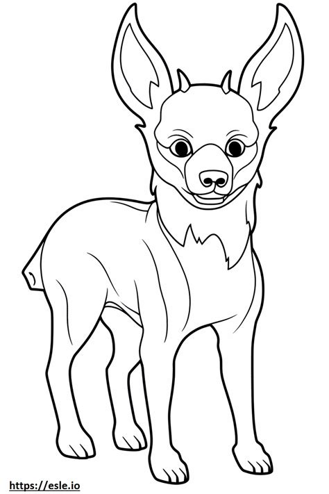 Apple Head Chihuahua full body coloring page