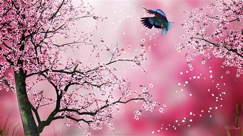 Drawn Cherry Blossom Desktop Wallpapers - Top Free Drawn Cherry Blossom ...