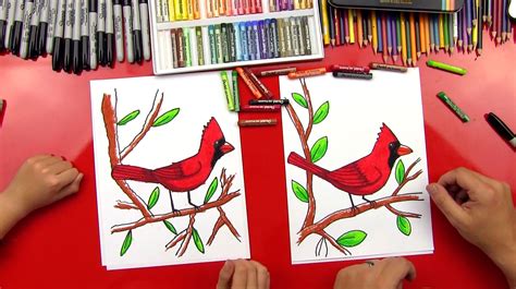 How To Draw A Cardinal - Art For Kids Hub