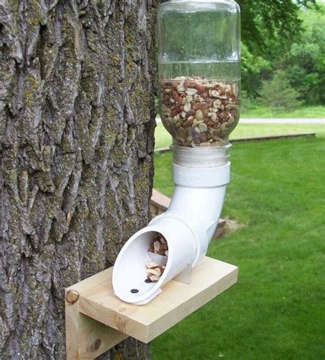 Squirrel Feeder Kit