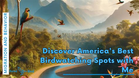 Discover America's Best Birdwatching Spots with Me