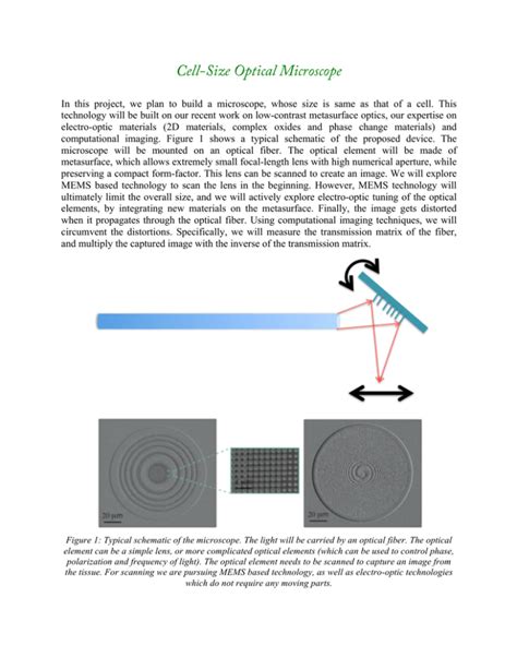 Cell-Size Optical Microscope