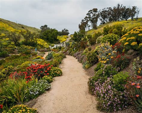 How To Hike Ventura Botanical Gardens Trail In Ventura