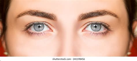 Gray Eye: Over 1.035.791 Royalty-Free Licensable Stock Photos | Shutterstock