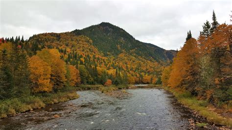 Fall is in full swing at Jacques-Cartier National Park, Québec [OC][5312x2988] : r/AutumnPorn