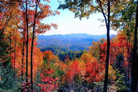 Boone in the fall | I didn't take this photo, because I'm ne… | Flickr