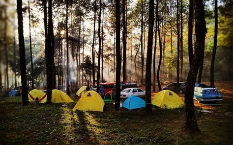 Wisata Bedengan Malang Yang Menjadi Wisata Alam Bumi Perkemahan