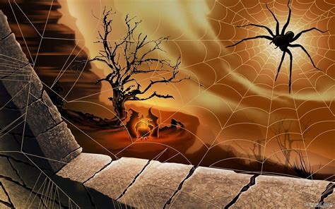 Halloween Spider Web Wallpaper download - Halloween HD Wallpaper - Appraw