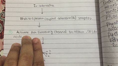 adenosine mechanism of action and drug interaction pharmacology - YouTube