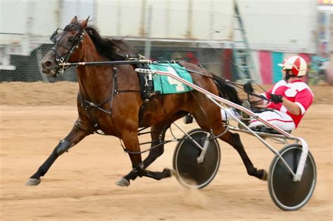 Harness Horse Racing Returns to Langlade County Fair - Antigo Times