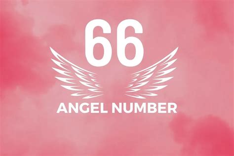 Angel Number 66 Meaning And Symbolism - Blackbird