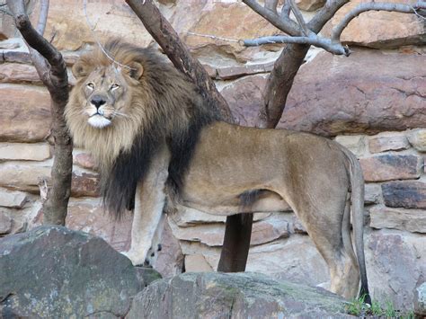 SECO NEWS - Fort Worth Zoo Animals from December 2006 - Photo Showcase