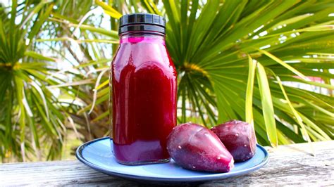 How to Make Prickly Pear Cactus Juice Drink