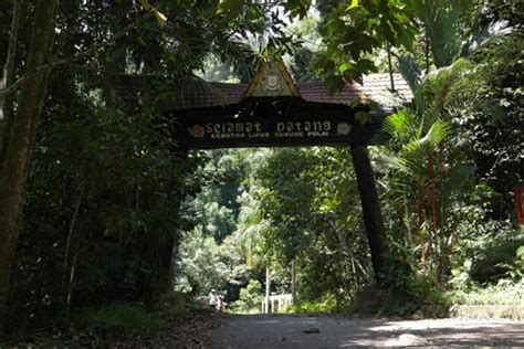 Gunung Pulai in Johor - Rainforest Journal