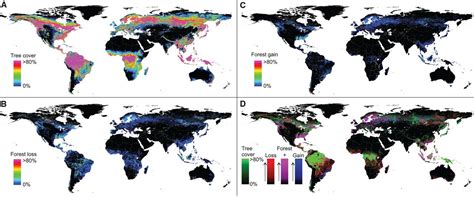 Forestry High Resolution World Map