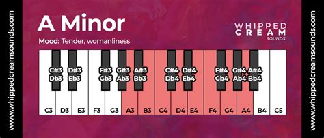 A Minor Scale, Chords in The Key of A Minor - Whipped Cream Sounds