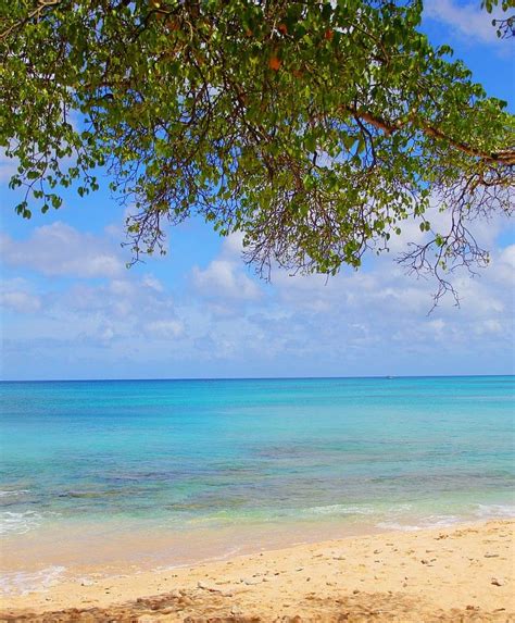 Another beautiful day at Batts Rock beach on the west coast of Barbados. | Barbados beaches ...