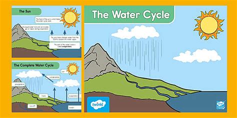 The Water Cycle PowerPoint - Elementary Science - Twinkl