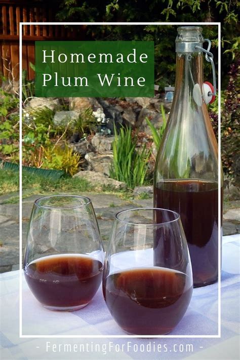 Simple Homemade Plum Wine: A delicious after dinner drink | Plum wine, Homemade beer, Homemade wine