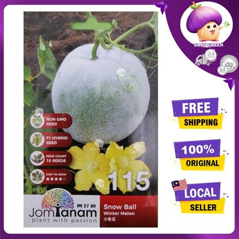 JT115 Melon snow/Tembikai Biji Benih Sayur Buah(10 Seeds)/ WINTER MELON SNOW BALL KUNDUR Fruit ...